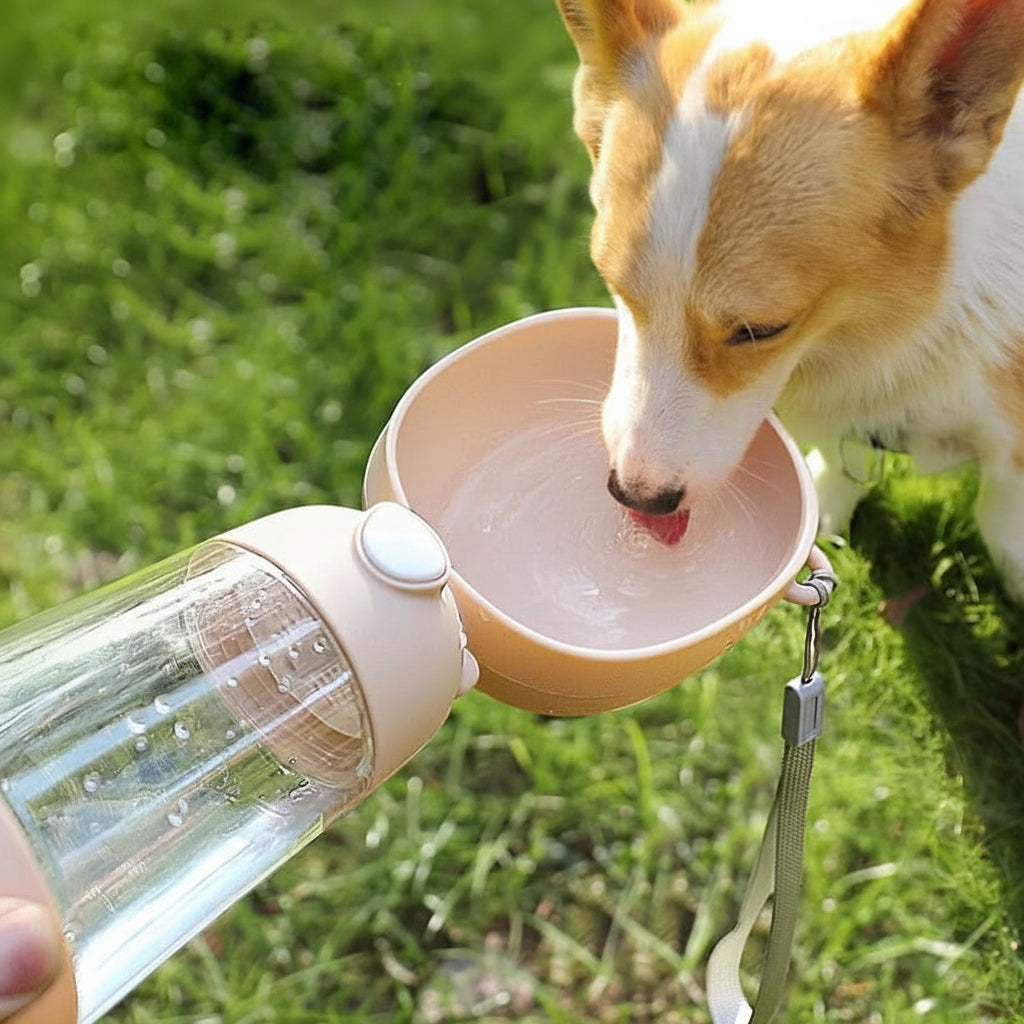 PETSPRING – Leakproof Pet Water Bottle
